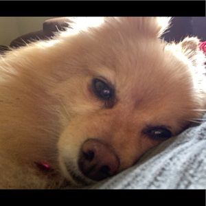 Meet your Posher, Zachary